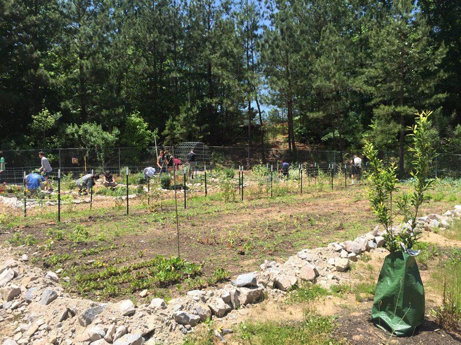 The community garden behind Wakefield Elementary will provide food in future harvests.