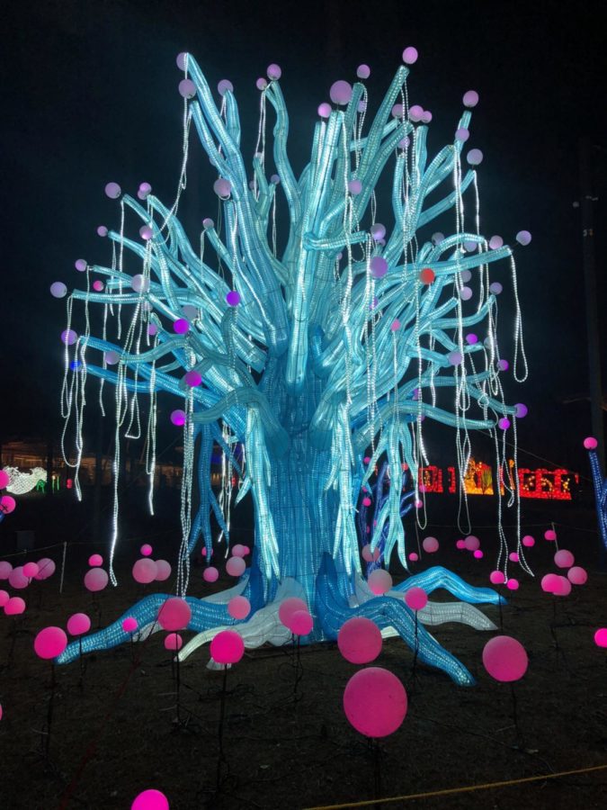  The tree of life at NC Chinese lantern festival enthralls visitors.