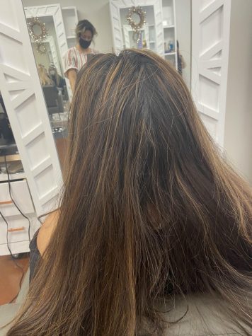 Trust process: Follow Graphics Editor Stephanie her hair-coloring journey The Howler