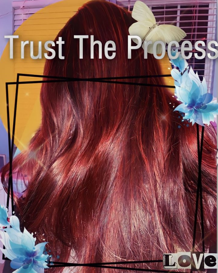 Trust the process:  Follow Graphics Editor Stephanie Arana on her hair-coloring journey