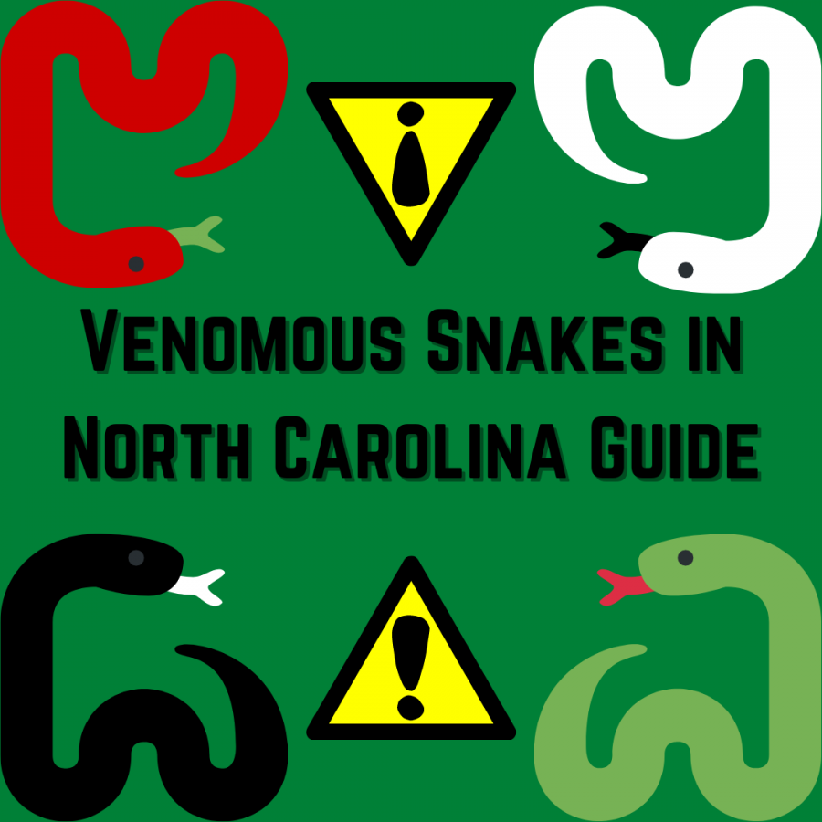 How can you differentiate the venomous and non-venomous snakes in North Carolina?