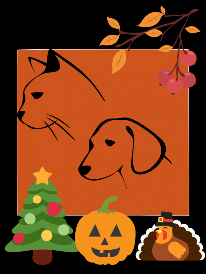 Holiday warnings to keep your pets safe