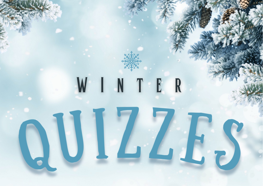 Personality quizzes to take during this cold winter season.