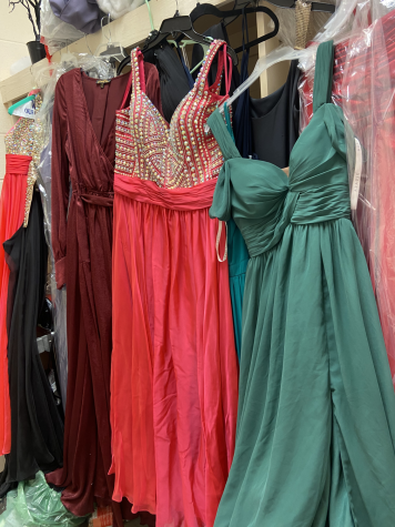 Prom dresses showcase all the beautiful selections that will be available.