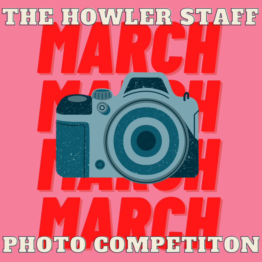 The March staff photo competition is here!
