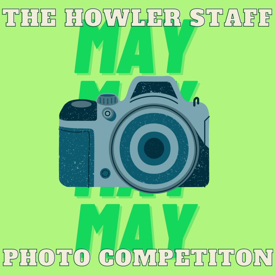 The May staff photo competition is here! This months theme is flowers!