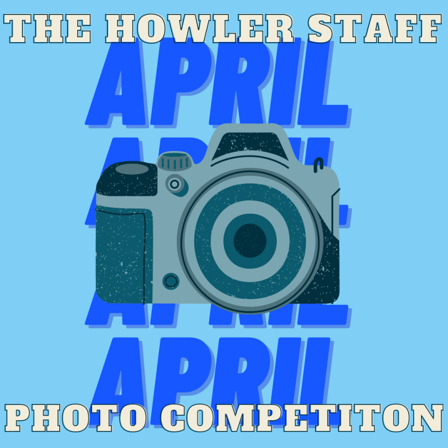 The April staff photo competition is here! This months theme is water!
