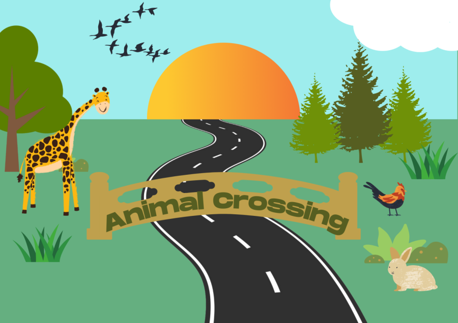 Wildlife crossings provide safer travels for animals – The Howler