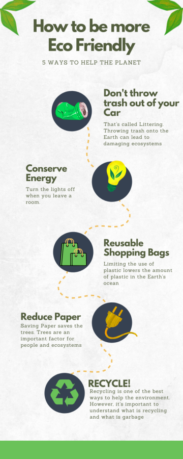 There are plenty of simple ways to become more eco-friendly while living your daily life.