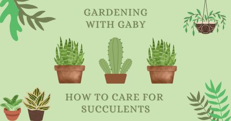 Watch episode one of Gardening with Gaby to learn about tips for caring for succulents. 