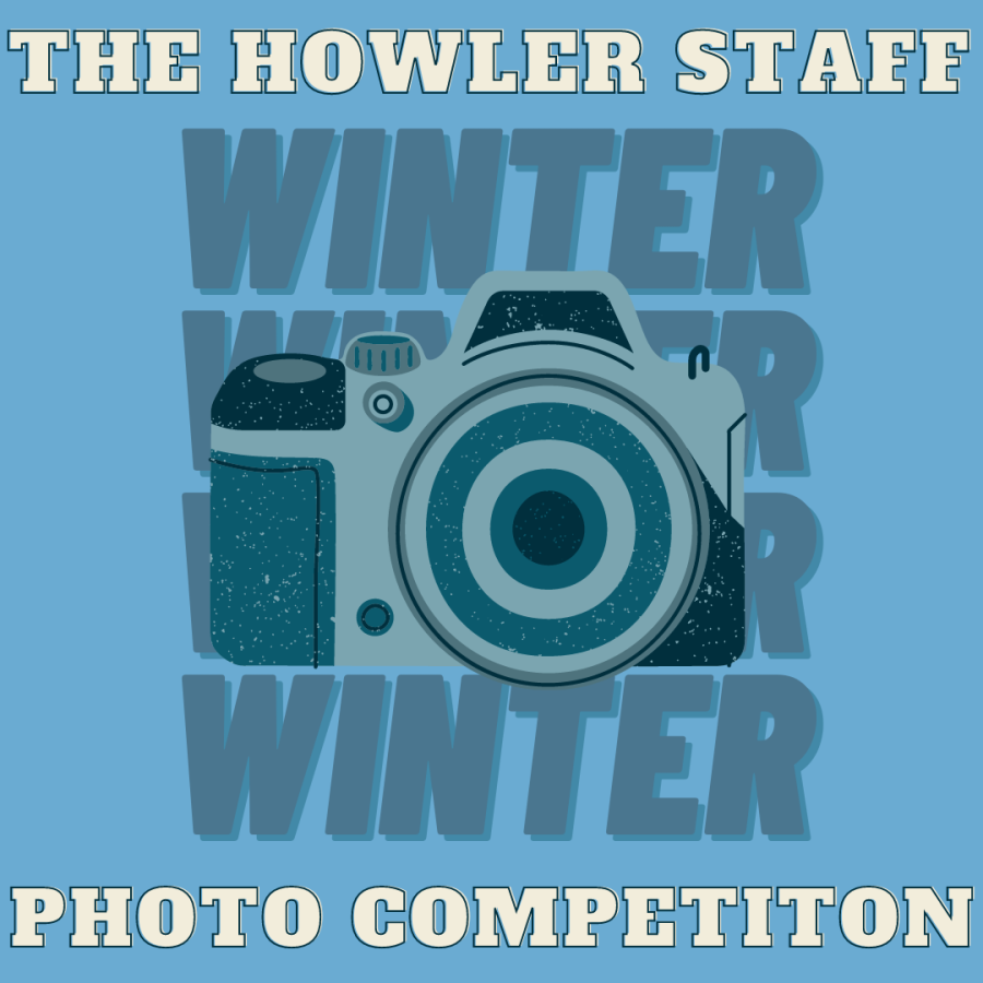 Winter Staff Photo Competition