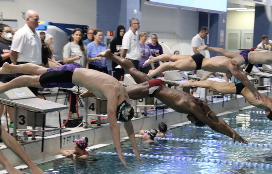 Joey Harrison dives in for his 100 freestyle against Holly Springs, Sanderson and Heritage. He won second place finishing his event in 52 seconds. 