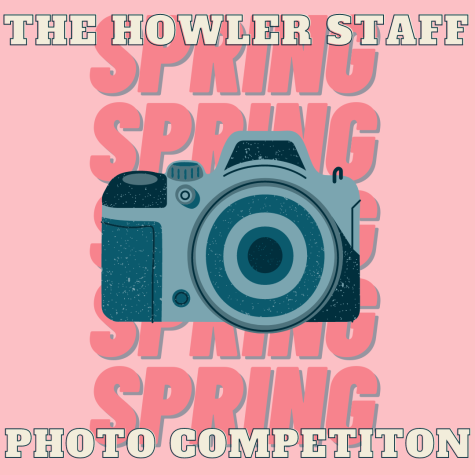 Spring Staff Photo Competition