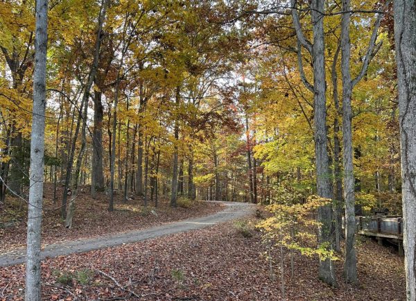 As leaves turn yellow, runners and bikers flock to the Falls of Neuse trail to enjoy the beautiful scenery; but with recent crime reports, trail users should proceed with caution.