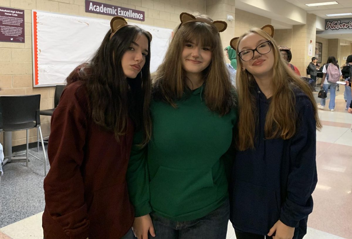 This trio of chipmunks pose for a picture at the beginning of the day. They are Alvin, Simon and Theodore. 