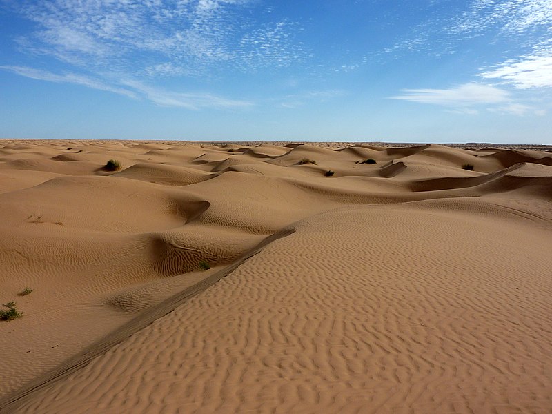 The Sahara Desert is filled with many sand dunes. When the flood hits, the water flows downhill, creating lakes in the dunes. 

(Photo Courtesy of Flickr, Wonker https://commons.wikimedia.org/wiki/File:Sahara_3.jpg)