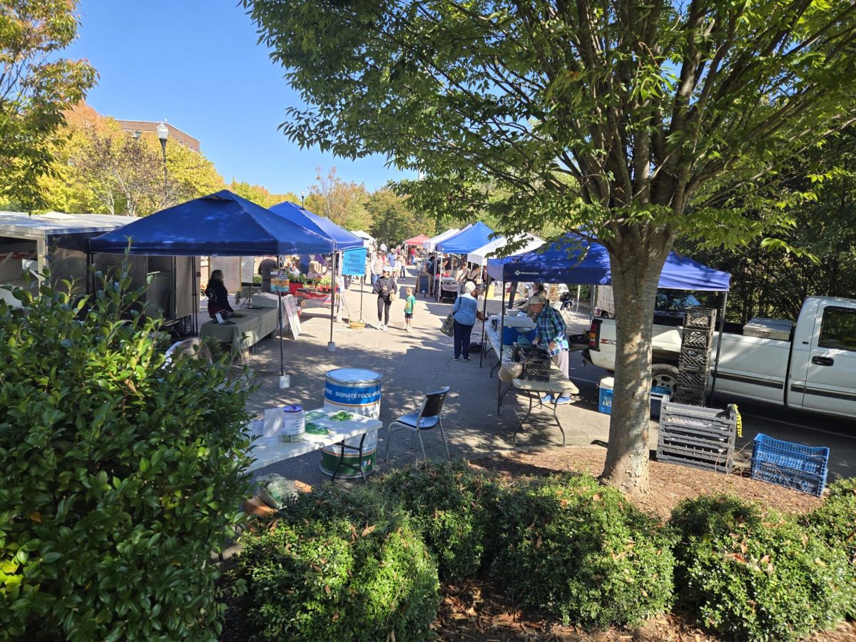 Every Saturday at the Wake Forest Farmers Market, vendors set up their stalls in the open air. Consumers are free to roam, shop, converse, and grab a bite to eat at this diverse market. (Photo courtesy of Michelle Fryman)