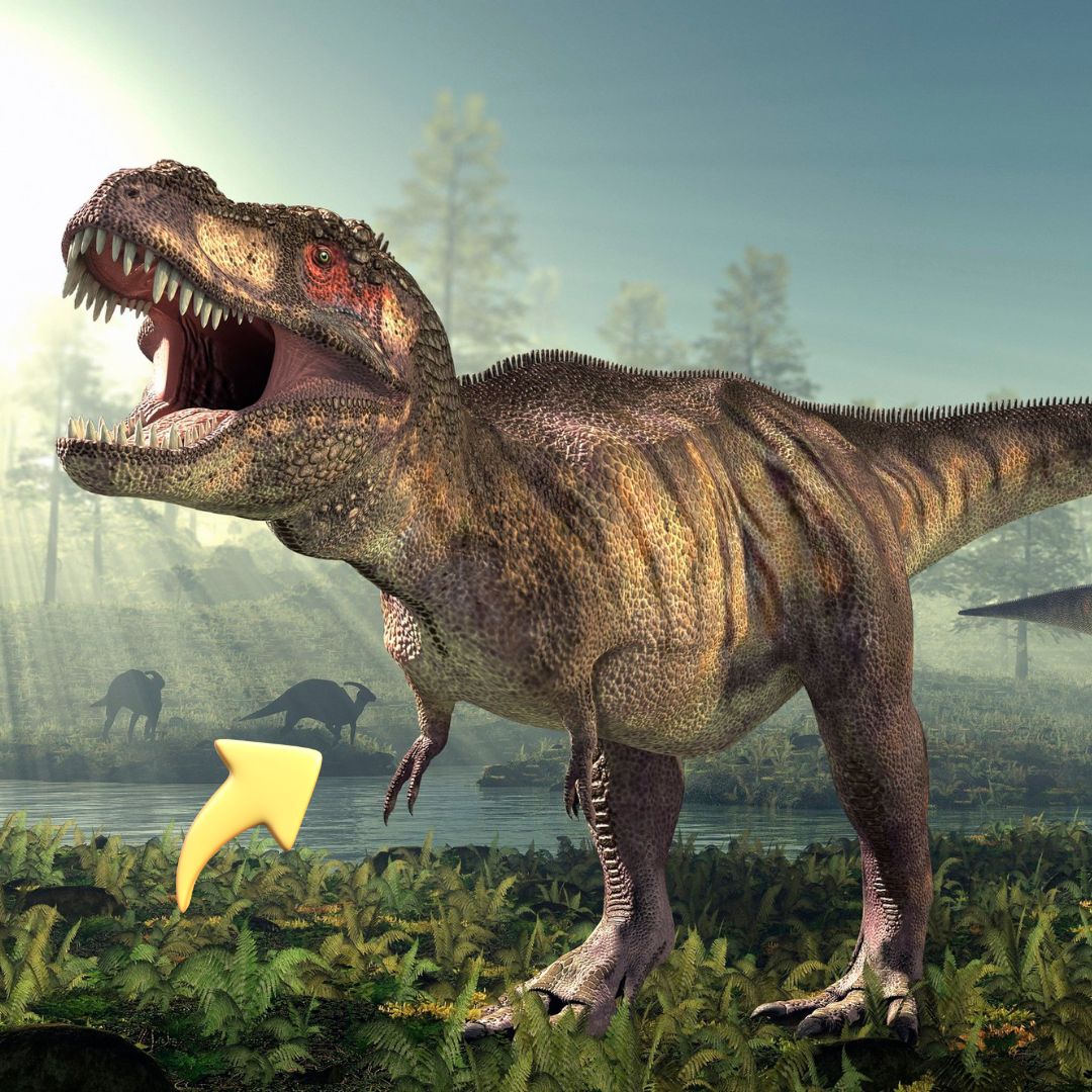 The Tyrannosaurus Rex lived during the late Cretaceous period, and used its tiny arms to slash its prey and become one of the most dangerous carnivores of that time period. 