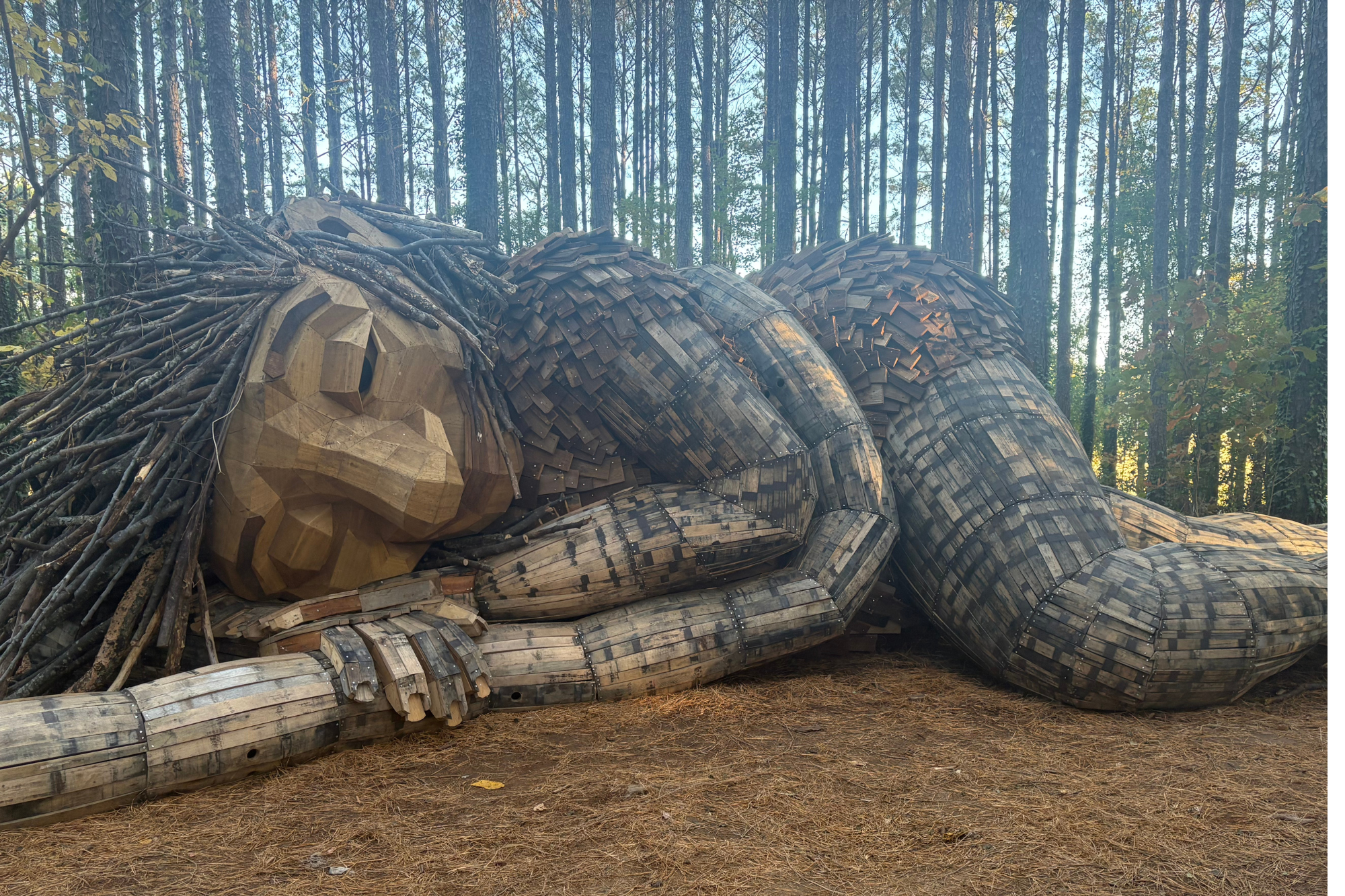 The Dambo Trolls are one of the newest art installations in North Carolina. These trolls have grown in popularity around the world, as they are now found in 20 countries.
