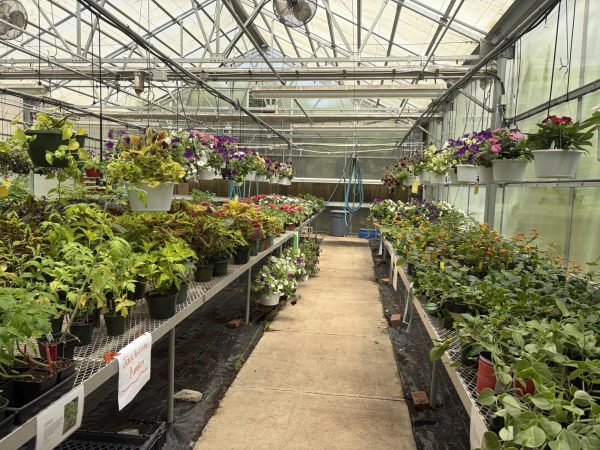 Wakefield’s spring plant sale took place from May 1 to May 3. The sale was largely organized and promoted by students within the agricultural programs and Future Farmers of America Club.