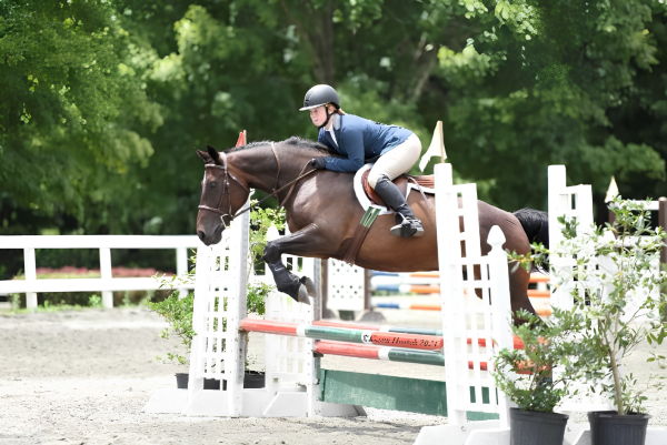 Kinsley Dishong and her horse, Singular Echo, clear a fence during a show jumping round, one of three phases (alongside dressage and cross-country) that earned them the 2025 Horse of the Year award. Their performance demonstrates the versatile athleticism and deep bond of trust required to compete at the highest levels of equestrian sport.