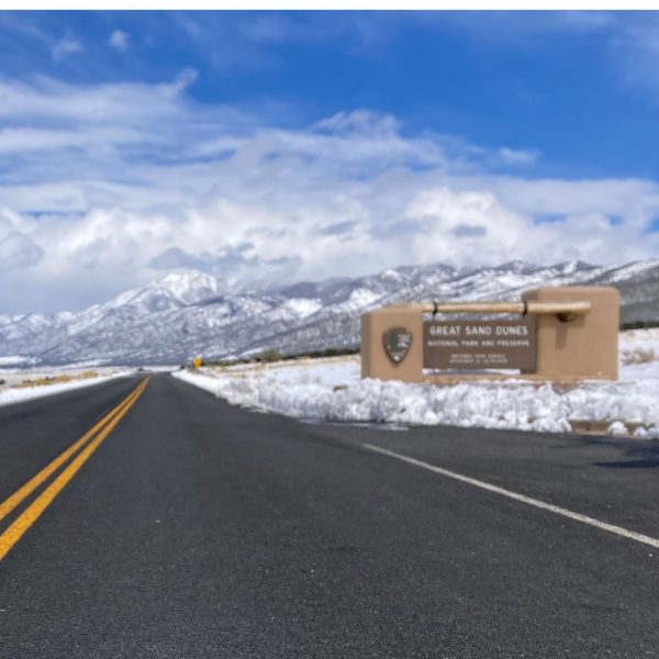 The Great Sand Dunes National Park and Preserve provides a home for many forms of wildlife. Located in Colorado, this National Park is one of the many across the U.S.